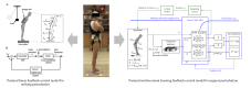 Postural Control